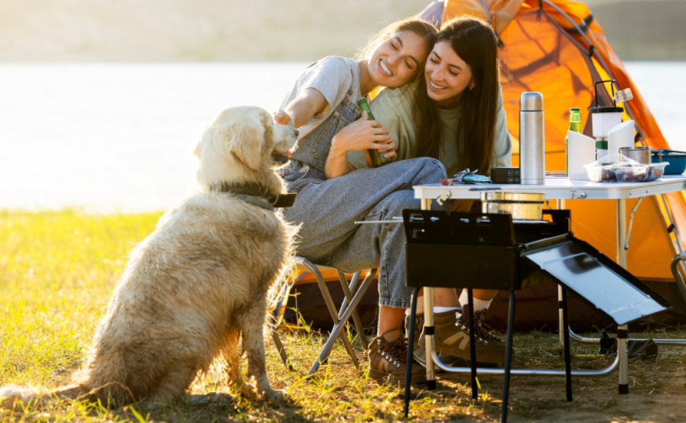 Camping with your dog