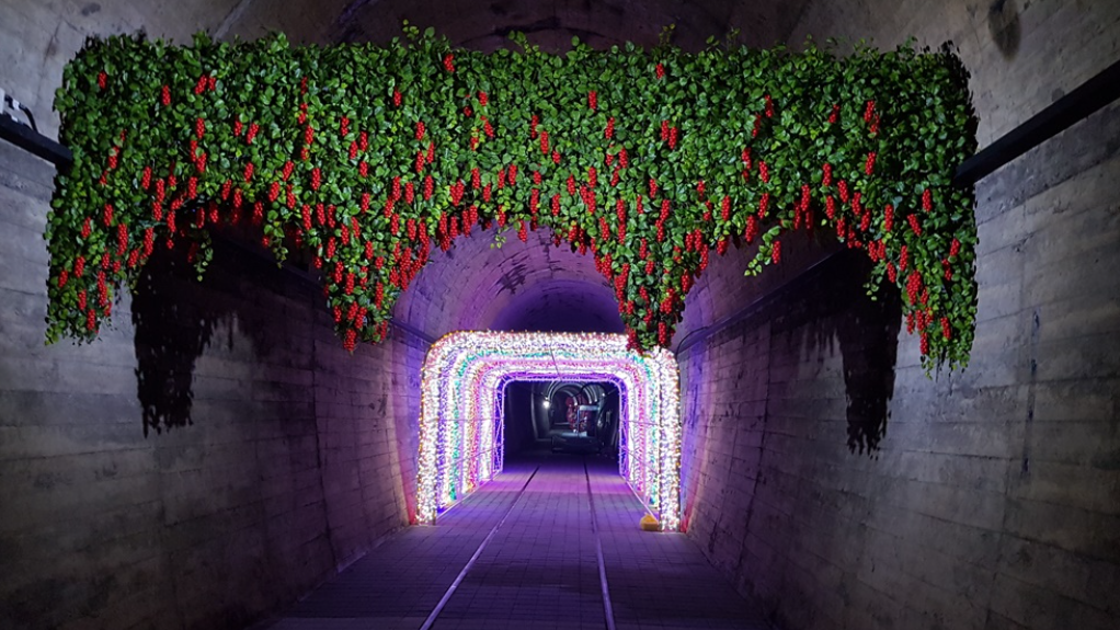 Another source of pride for Mungyeong is the Omija Tunnel