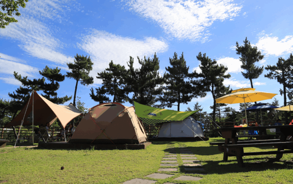 Sokcho National Leisure Camping Site where you can enjoy the atmosphere of being in contact with the sea